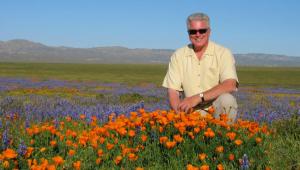 howser-huell-poppies