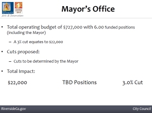 mayors budget
