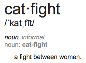 cat-fight-definition