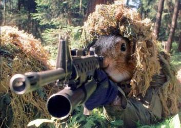 Sniper-Squirrel-30002