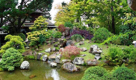 japanese-tea-garden